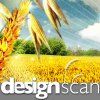 DesignScan